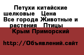 Петухи китайские шелковые › Цена ­ 1 000 - Все города Животные и растения » Птицы   . Крым,Приморский